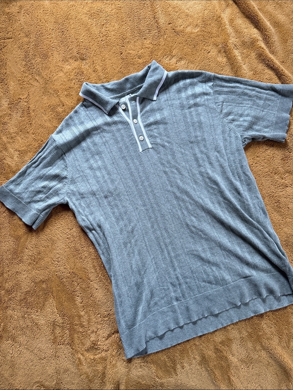 American Eagle Outfitters Sage Green Polo with White-Trim Placket